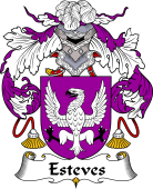 Portuguese Coat of Arms for Esteves