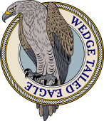 Birds of Prey Clipart image: Wedge Tailed Eagle-M