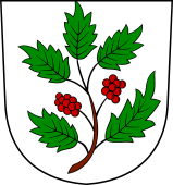 Swiss Coat of Arms for Balber (de Winterthür)
