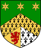Irish Family Shield for MacShanley or Shanly (Leitrim)