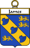 Irish Badge for James