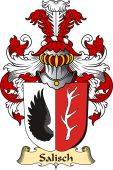 v.23 Coat of Family Arms from Germany for Salisch