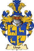 Welsh Family Coat of Arms (v.23) for Lloyd (of Foxhal, Henllan, Denbighshire)