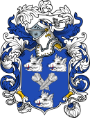 English or Welsh Coat of Arms for Newton