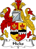 Irish Coat of Arms for Hicks