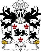 Welsh Coat of Arms for Pugh (of Mathafarn, Llanwrin, Montgomeryshire)