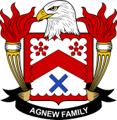 Coat of arms used by the Agnew family in the United States of America