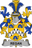 Irish Coat of Arms for Regan or O'Regan