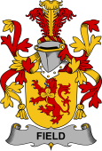 Irish Coat of Arms for Field