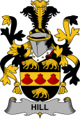 Irish Coat of Arms for Hill