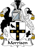 Irish Coat of Arms for Morrison