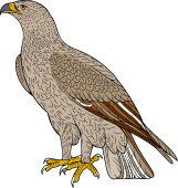 Birds of Prey Clipart image: Booted Eagle