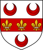English Family Shield for Oakeley