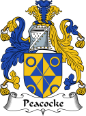 Irish Coat of Arms for Peacocke