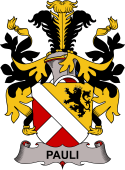 Swedish Coat of Arms for Pauli
