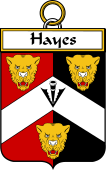 Irish Badge for Hayes