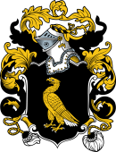 English or Welsh Coat of Arms for Roper