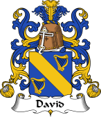 Coat of Arms from France for David