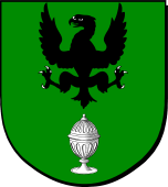 Spanish Family Shield for Salgado