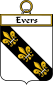 Irish Badge for Evers