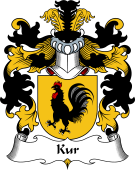 Polish Coat of Arms for Kur