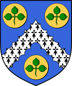 Irish Family Shield for Waters or Watters (Limerick)