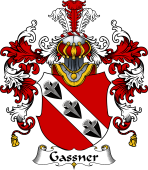 German Wappen Coat of Arms (v.25) Gassner