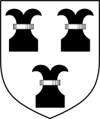 Scottish Family Shield for Wawane or Wawne