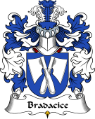 Polish Coat of Arms for Bradacice or Bradczyce