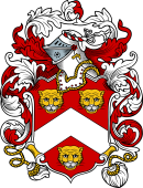 English or Welsh Coat of Arms for Petter (Kent)