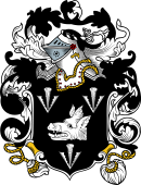 English or Welsh Coat of Arms for Salmon