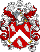 English or Welsh Coat of Arms for Hewitt