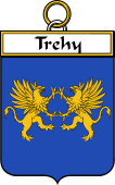 Irish Badge for Trehy or O'Trehy
