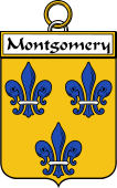 Irish Badge for Montgomery