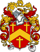 English or Welsh Coat of Arms for Austin