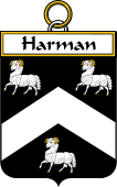 Irish Badge for Harman