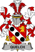 Irish Coat of Arms for Quelch