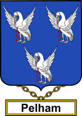 English Coat of Arms Shield Badge for Pelham