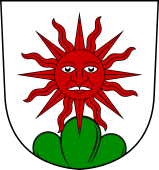 Swiss Coat of Arms for Sonnenberg