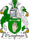 Irish Coat of Arms for O'Loughnan