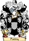 English or Welsh Family Coat of Arms (v.23) for Paddy (Granted 1591-Lancaster Herald)