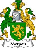 English Coat of Arms for the family Morgan III (Wales)