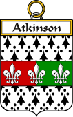 Irish Badge for Atkinson