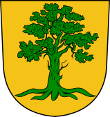 Swiss Coat of Arms for Baumann
