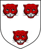 Scottish Family Shield for Langton