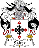Portuguese Coat of Arms for Salter
