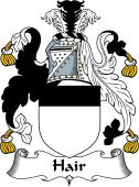 Scottish Coat of Arms for Hair