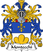 Italian Coat of Arms for Montecchi