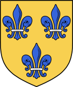 Irish Family Shield for Montgomery (Donegal and Down)