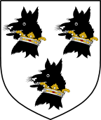 Irish Family Shield for Wolfe (Kildare)